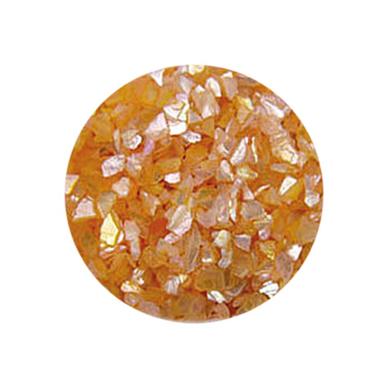 Decorare Unghii cu Scoici Pisate SP106