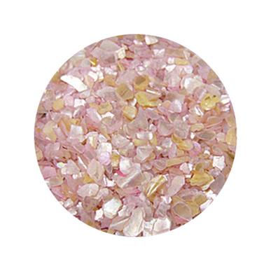 Decorare Unghii cu Scoici Pisate SP302
