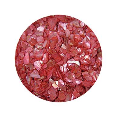 Decorare Unghii cu Scoici Pisate SP406