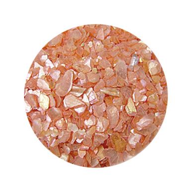 Decorare Unghii cu Scoici Pisate SP606