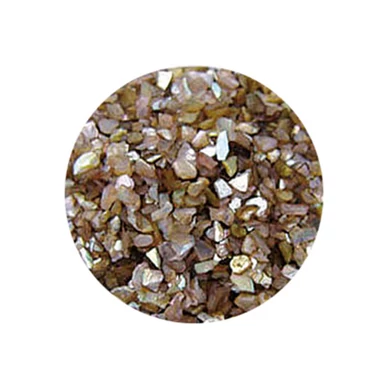 Decorare Unghii cu Scoici pisate SP101