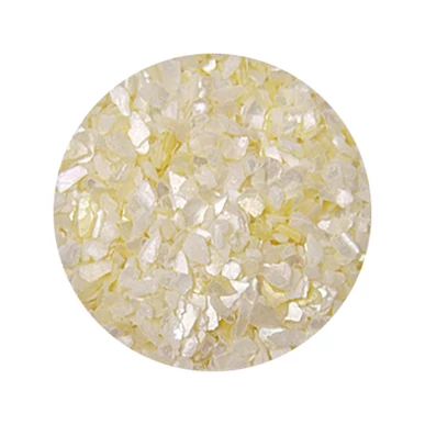 Decorare Unghii cu Scoici Pisate SP201