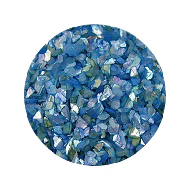 Decorare Unghii cu Scoici Pisate SP211