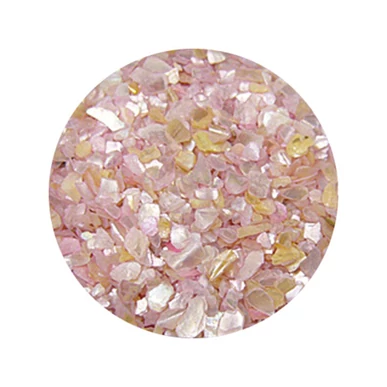 Decorare Unghii cu Scoici Pisate SP302