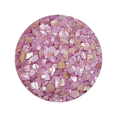 Decorare Unghii cu Scoici Pisate SP306