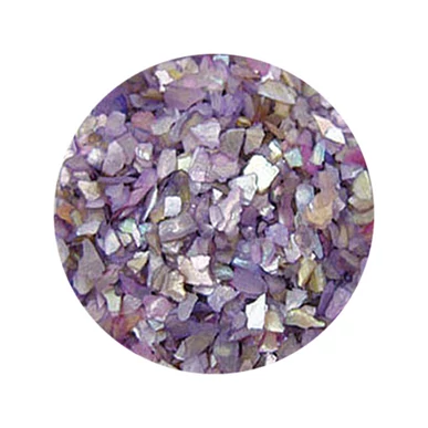 Decorare Unghii cu Scoici Pisate SP512
