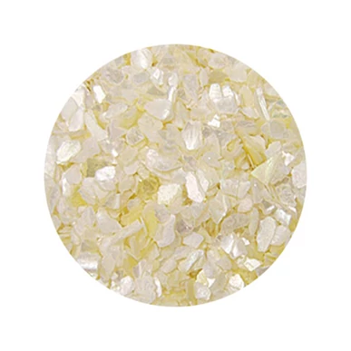 Decorare Unghii cu Scoici Pisate SP602