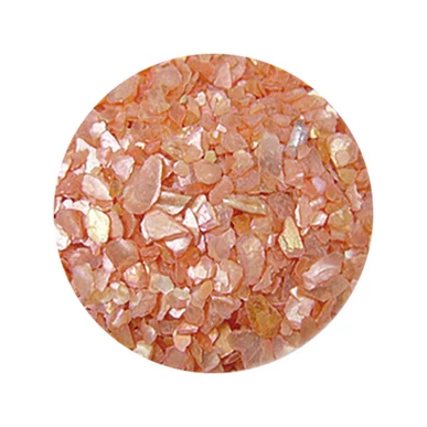 Decorare Unghii cu Scoici Pisate SP606