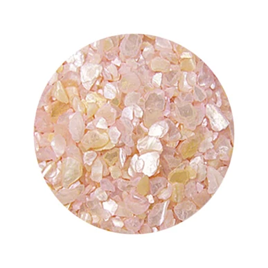 Decorare Unghii cu Scoici Pisate SP607