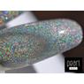 Oja semipermanenta Holoshine 1001 gel lac - cu micro particule strălucitoare argintii Oja semipermanenta Holoshine 1001 gel lac - cu micro particule strălucitoare argintii