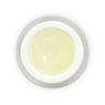 4D Glass Gel - 5ml 4D Glass Gel - 5ml