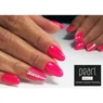 Imagine 2/2 - Gel lac Classic 425