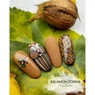 Imagine 5/6 - Set 6 oje semipermanente Pearl Nails, Brownie