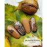 Set 6 oje semipermanente Pearl nails, Brownie Set 6 oje semipermanente Pearl nails, Brownie