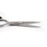 Foarfecă de tuns Alexander Style 5.5" 3332 Foarfecă de tuns Alexander Style 5.5" 3332